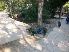 183 D22 SANARY SUR MER 2_000004